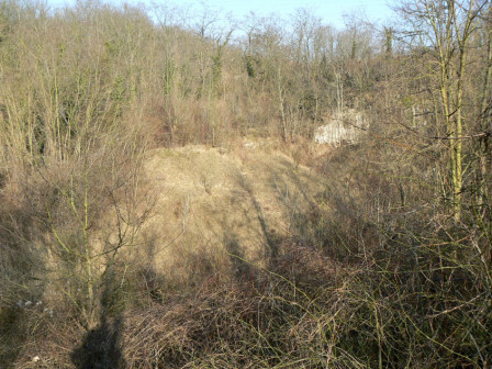 29_01-2009 : La pelouse calcaro-marneuse du petit vallon
