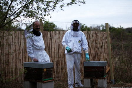L'installation des ruches dans le jardin des Abbesses